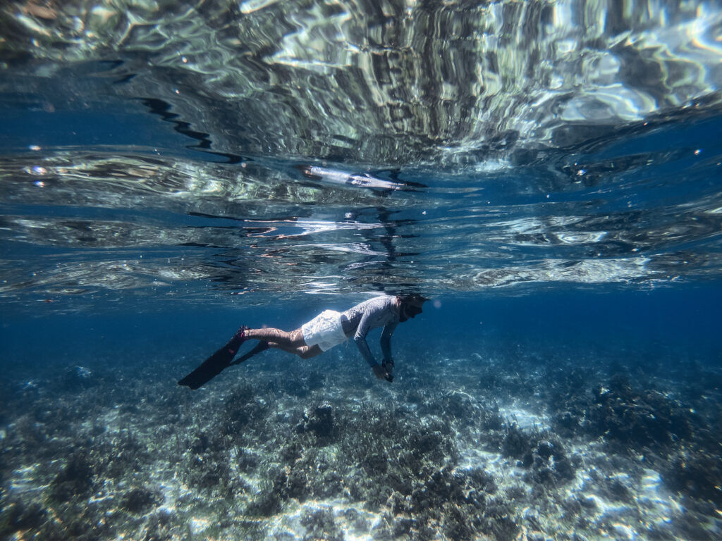 Zanurkuj w świat snorkelingu - niezwykłe doświadczenie bliskości z naturą